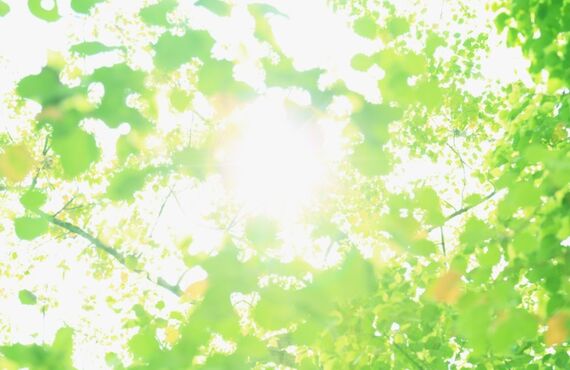 整形級のアイブロウスタイリング☆